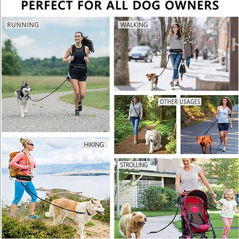 Hands Free Leash Walking And Training Belt With Shock Absorbing Bungee Up To 180lbs Large Dogs Phone Pocket And Water Bottle Holder
