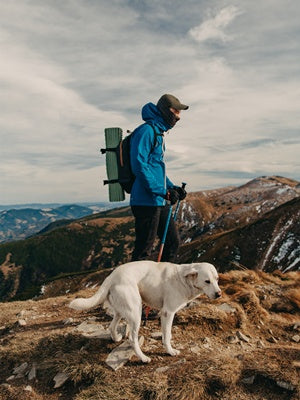 Super Absorbent Dog Bath Towels Fast Drying - Soft Microfiber