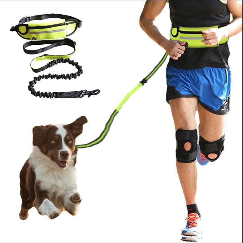 Hands Free Leash Walking And Training Belt With Shock Absorbing Bungee Up To 180lbs Large Dogs Phone Pocket And Water Bottle Holder