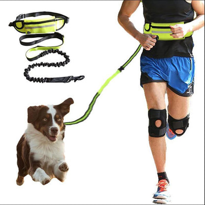 Hands Free Leash Walking And Training Belt With Shock Absorbing Bungee Up To 180lbs Large Dogs Phone Pocket And Water Bottle Holder