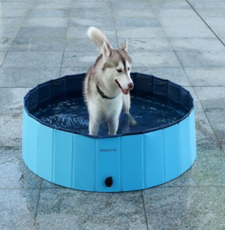 Pet Pool Dog Foldable Large Bath